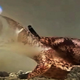 Illustration for article titled This Snail Makes A Venom So Toxic, It Disables Fish Swimming Near It